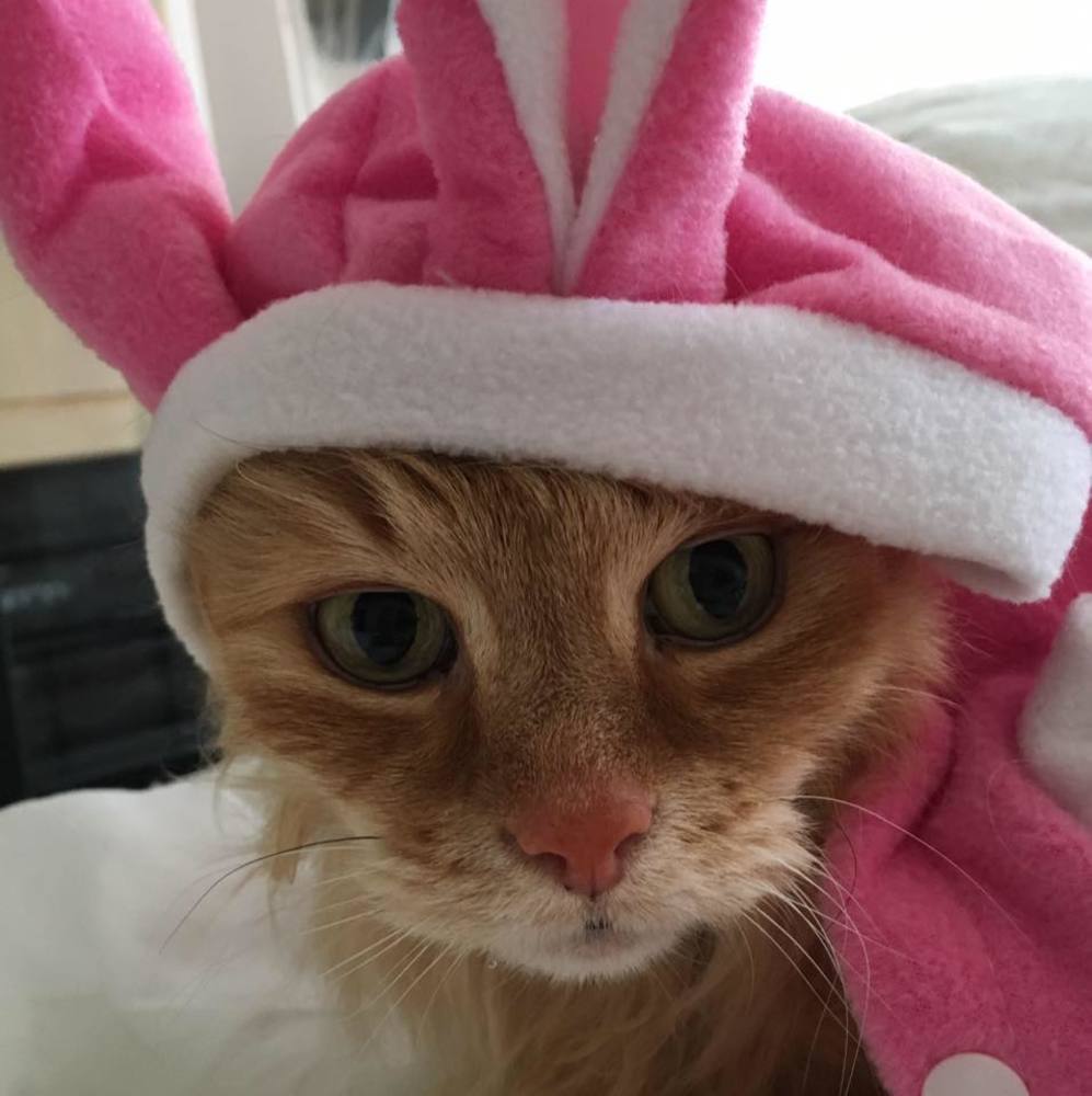 Meet your Posher, Kimberly